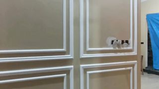 Wallmoulding
