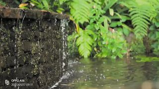 Videos Nice Songs and Videos