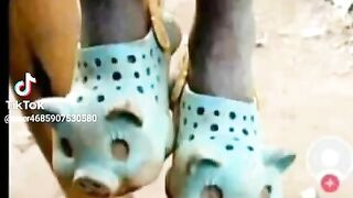 This life no balance