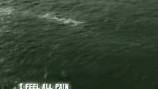 Video 94