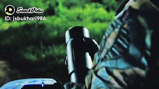 Hollywood Movie clip