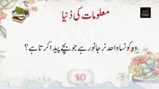 Best urdu Quotes #urduquotes