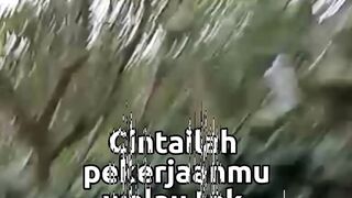 Kebun kopi