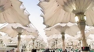Beautiful video seen