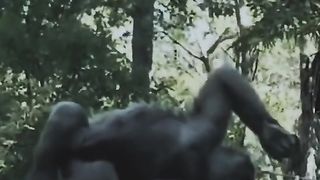 Funny video 933