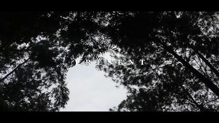Cinematic Video 2
