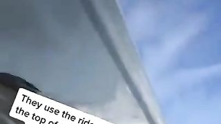 Watch Remora Shark Beautiful #beautiful sub plzzz