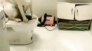 video fun
