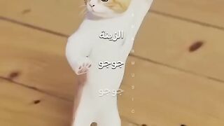 جوجو