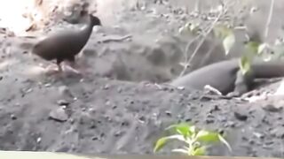 Tutup lagi aja deh hahahaha