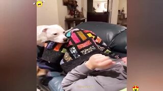Vidéos drôles aléatoires | Compilation Essayez de ne pas rire 15