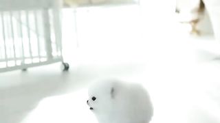 cute baby dogs compile #1