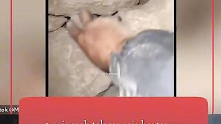 Lanjut reksen bagian 3