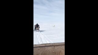 Heart-pounding Encounter With A Massive Polar Bear
