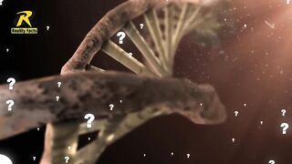 What is DNA and how does it work