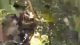 Viral Katak panah mas hewan lucu yang mematikan