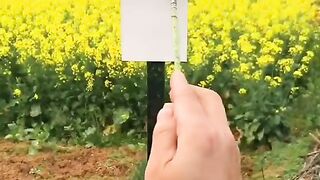 Viral Special Drawing very good the best drawing expert