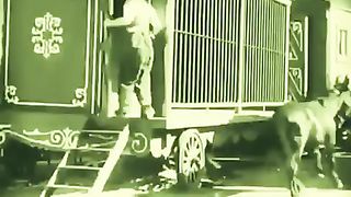 Funny video 936