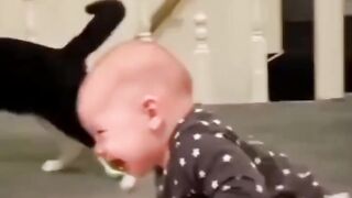 Funny Baby Video 1