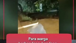 Lanjut horor