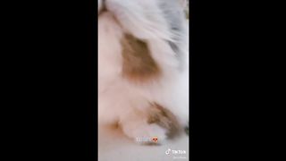 BEST ANIMAL'S TIKTOK ! #4