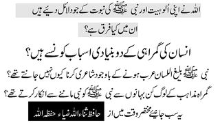 اللہ کی  الوہیت اور نبی صلی اللہ علیہ وسلم کی نبوت کے  دلائل  میں فرق؟