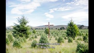 The Hole in the Fence (2023) - Movie Trailer | Valeria Lamm, Lucciano Kurti, Yubah Ortega,