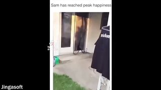 If you laugh, you will explode 2
