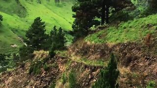 Nature 59