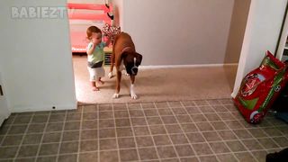 Adorable Babies Playing With Dogs and Cats - Funny Babies Compilation 2023