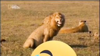 Funny videos???? 2