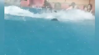 TRY NOT TO LAUGHING I Best Funny Videos Compilation 2023 # 76