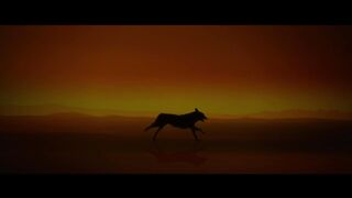 Koko: A Red Dog Story (2023) - Movie Trailer | Sarah Woods, Toby Truslove, Felix Williamson