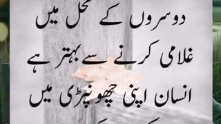 Urdu quote whatsapp status#shorts #viralreels#fyp #shortsfeed