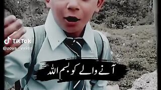 Virel video 2