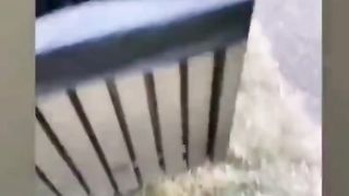 Funny Tiktok Compilation 5