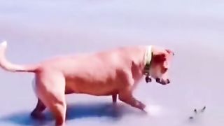 ضحك 2