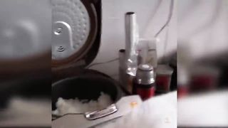 Darling Kittens: Adorable and Entertaining Cat Videos| Aww-Inspiring Animals