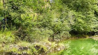 ✅ Sons da Natureza relaxar e meditar- Música para descansar #Shorts