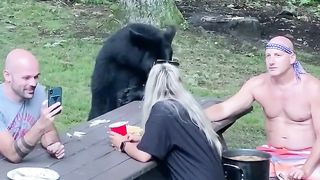 Nothing to see here,just having a casual pucnic