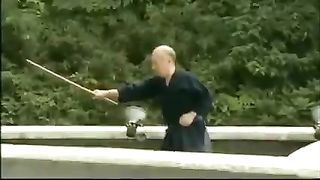 Samurai warrior