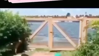 Video funny 30