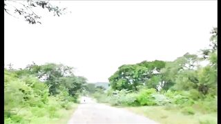 Discover the Magic of Sariska | Ultimate Travel Guide
