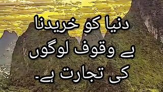 Imam Ali A.S Quotes 5