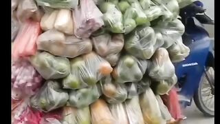 Vegetable 2