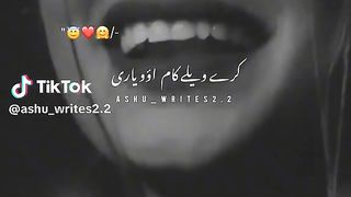Punjabi song 12