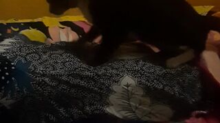 Funny my cat