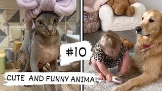 CUTE AND FUNNY ANIMAL VIDEOS . THE BEST! 4