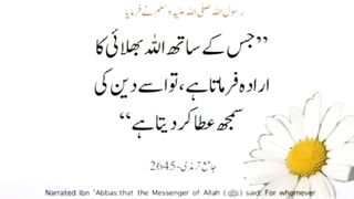 میری جَانب بھی ہو اِک نگاہِ کرم، اے شفیع الواریٰﷺ، خاتم الانبیاءﷺ 8