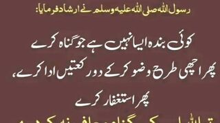 میری جَانب بھی ہو اِک نگاہِ کرم، اے شفیع الواریٰﷺ، خاتم الانبیاءﷺ 9